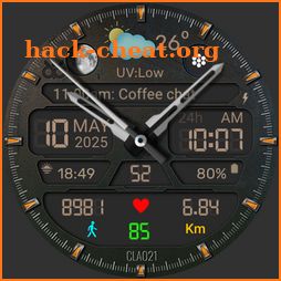 CLA021 Analog Steel icon