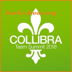 Collibra 2018 Team Summit icon