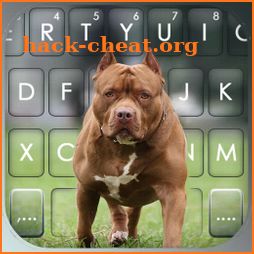 Cool Pitbull Keyboard Background icon