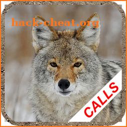Coyote hunting calls: coyote, fox, wolf sounds icon