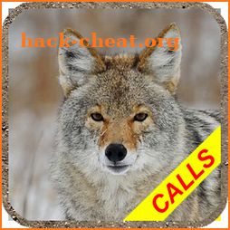 Coyote hunting calls Pro: coyote, fox, wolf sounds icon