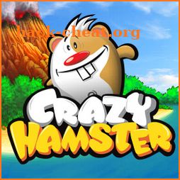 Crazy Hamster icon