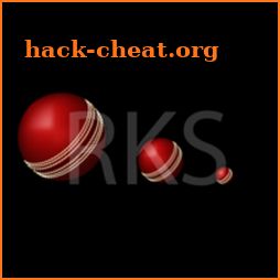 Cricket Fever 4D icon