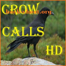 Crow Calls HD icon
