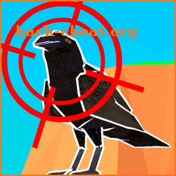 Crow Hunter 3D icon