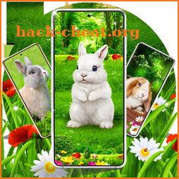 Cute bunny easter wallpapers icon