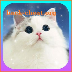 Cute Cat Wallpapers 4K -Free Kitten HD Backgrounds icon
