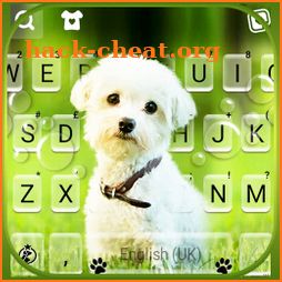 Cute Innocent Puppy Keyboard Background icon