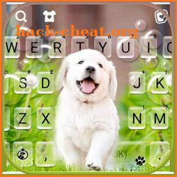 Cute Lab Puppy Keyboard Background icon