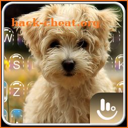 Cute Lucky Puppy Dog Keyboard Theme icon