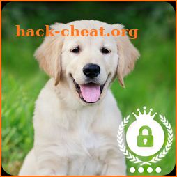Cute Puppy Labrador Little Dog Screen Lock icon