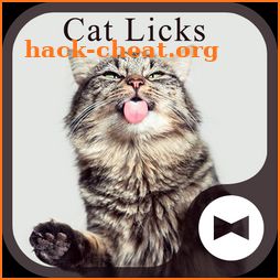 Cute Wallpaper Cat Licks Theme icon