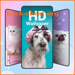 Cute Wallpaper HK 4D icon