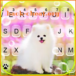Cute White Dog Keyboard Background icon