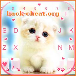 Cute White Kitten Keyboard Background icon