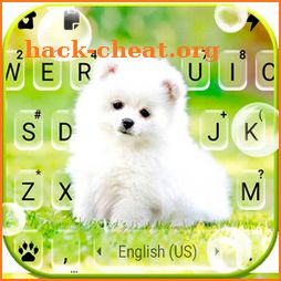 Cute White Puppy Keyboard Background icon