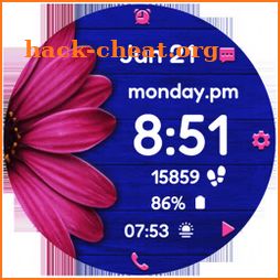 Daisy Vibrant Bloom Watch Face icon