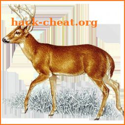 Deer Call icon