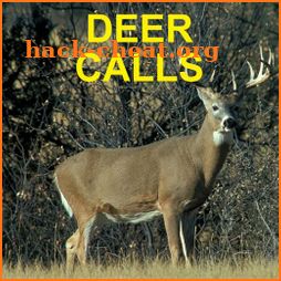 Deer Calls for Deer Hunting icon