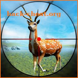Deer Hunter 3D – Offline Games icon