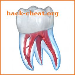 Dental 3D Illustrations for patient education icon
