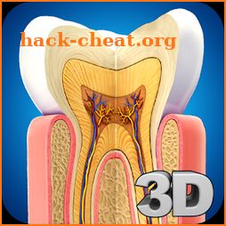 Dental Anatomy Pro. icon