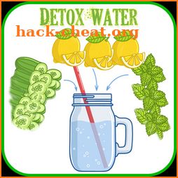 Detox Water Drinks Recipes: Detox Water Recipes icon