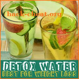 Detox Water Recipes icon