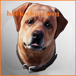 Dex: Your AR Dog Companion icon