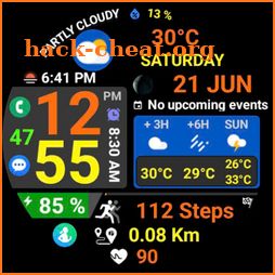 Digital Weather Sport NTV581 icon