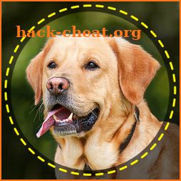 Dog Breed Scanner– Dog Breed Identifier by Picture icon