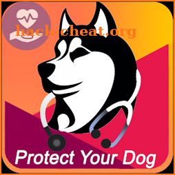 Dog health icon