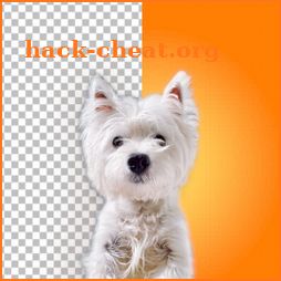 Dog Photo Editor - Background Changer and Eraser icon