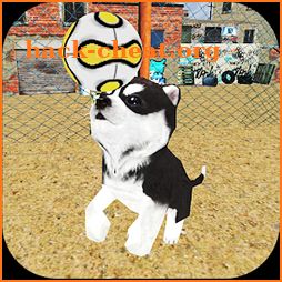 Dog Puppy Craft : Street Football Match 2018 icon