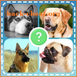 Dog Quiz Guess Dog Names Test ❓🐕⁉🐶❤ icon
