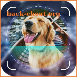 Dog Scanner - Puppy icon
