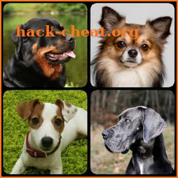 Dogs Quiz - Guess All Dog Breeds in the Photos icon