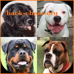 Dogs Quiz - Guess Popular Dog Breeds on the Photos icon