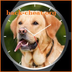 Dogs Watch Faces icon