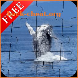 Dolphin Jigsaw Puzzle icon