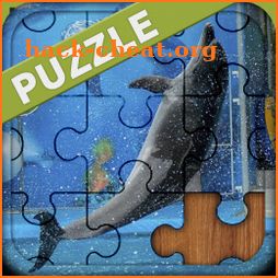 Dolphin puzzles icon