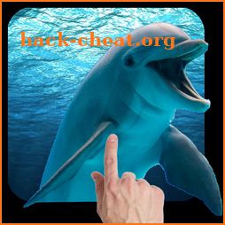 Dolphins - Play with me icon