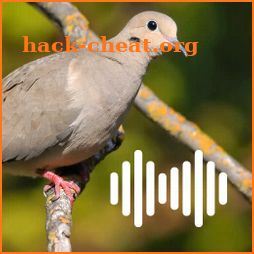 Dove hunting calls icon
