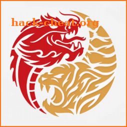 Dragon Tiger Noodle Co icon