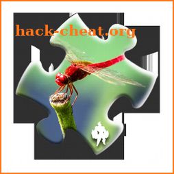 Dragonfly Jigsaw Puzzles icon