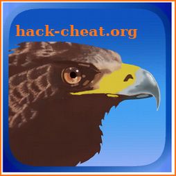 Eagle Hunting Journey icon