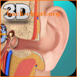 Ear Anatomy Pro. icon