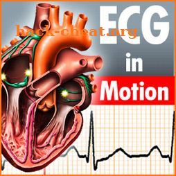 ECG in Motion Subscription-Version icon