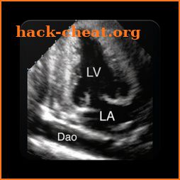 ECHOCARDIOGRAPHY GUIDE icon