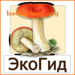 EcoGuide: Russian Fungi icon